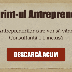 BluePrint-ul Antreprenorului Online